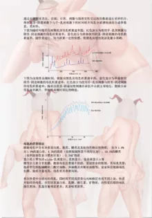 碧蓝航线系列, 中文