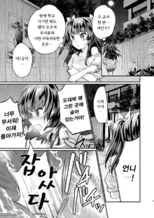 Tsundere Imouto Inbou Kaizou Keikaku | 츤데레 여동생 창녀 개조 계획, 한국어