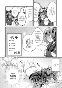 Tsundere Imouto Inbou Kaizou Keikaku | 츤데레 여동생 창녀 개조 계획, 한국어