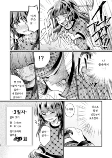 Tsundere Imouto Inbou Kaizou Keikaku | 츤데레 여동생 창녀 개조 계획, 한국어