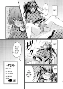 Tsundere Imouto Inbou Kaizou Keikaku | 츤데레 여동생 창녀 개조 계획, 한국어