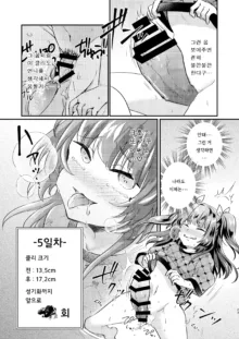 Tsundere Imouto Inbou Kaizou Keikaku | 츤데레 여동생 창녀 개조 계획, 한국어