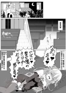 棚野おもちの漫画, 日本語