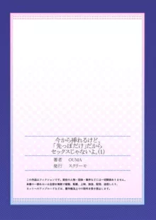 今から挿れるけど、「先っぽだけ」だからセックスじゃないよ。1-2, 日本語