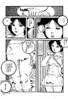 夢みる妖精, 日本語