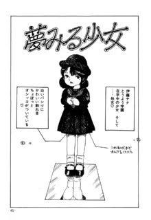 恋する妖精, 日本語