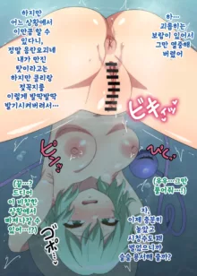 코이시 굴욕 노출 라이브 + 시리코다마 빼기 라이브, 한국어