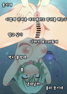 코이시 굴욕 노출 라이브 + 시리코다마 빼기 라이브, 한국어