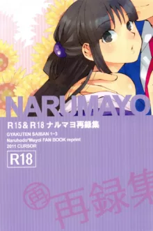 NARUMAYO R-18, 中文