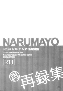 NARUMAYO R-18, 中文