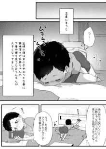 やわらかお姉ちゃんたちとえっちで楽しい夏やすみ, 日本語