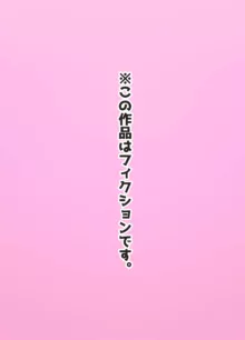 プリティー ソラちゃん ましろちゃん, 日本語