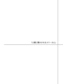 メリーさんから電話が来たので仲良くしてみた, 日本語