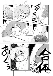 POKOにゃん2, 日本語