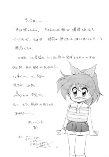 POKOにゃん2, 日本語