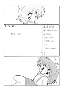 POKOにゃん2, 日本語