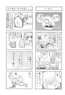 ふたごのひみつ, 日本語