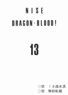 Nise DRAGON BLOOD! 13, 中文