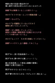 シャドウに弄ばれたヒロインたちは性欲を抑えきれなくなっていく!?, 日本語