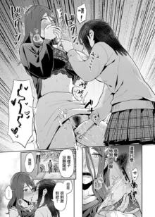 Saki Midareru wa Yuri no Hana | 肆意绽放的是百合之花, 中文