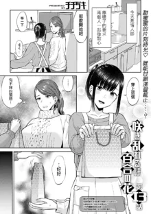 Saki Midareru wa Yuri no Hana | 肆意绽放的是百合之花, 中文