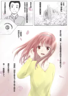 Honto no Kanojo Soushuuhen, 中文