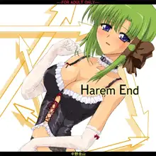 Harem End, 日本語