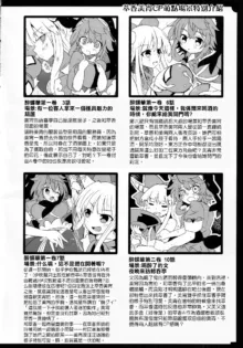 Yoigoshi no Sake wa Kanro no Aji |隔夜之酒乃是甘露之味(Touhou Project)（Chinese）, 中文