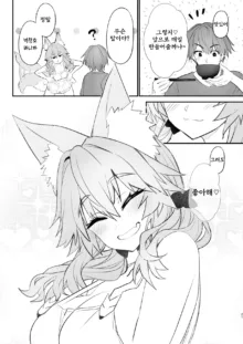 Tamamo Daigaku Monogatari - Tamamo's story "University life" | 타마모 대학 이야기, 한국어