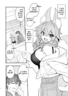 Tamamo Daigaku Monogatari - Tamamo's story "University life" | 타마모 대학 이야기, 한국어