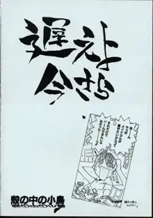 メイドさんの基本形, 日本語