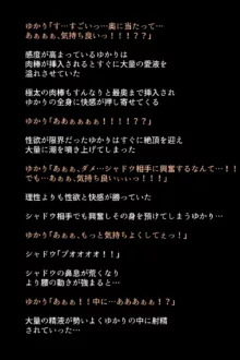 シャドウに弄ばれたヒロインたちは性欲を抑えきれなくなっていく!?, 日本語