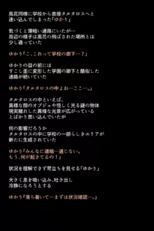 シャドウに弄ばれたヒロインたちは性欲を抑えきれなくなっていく!?, 日本語