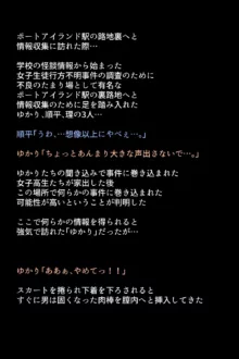 シャドウに弄ばれたヒロインたちは性欲を抑えきれなくなっていく!?, 日本語