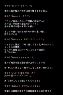 シャドウに弄ばれたヒロインたちは性欲を抑えきれなくなっていく!?, 日本語