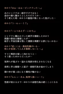 シャドウに弄ばれたヒロインたちは性欲を抑えきれなくなっていく!?, 日本語