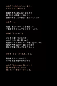 シャドウに弄ばれたヒロインたちは性欲を抑えきれなくなっていく!?, 日本語