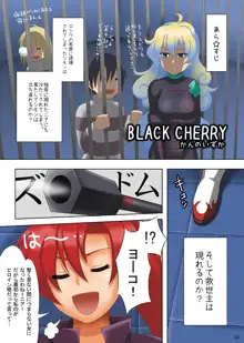 BLACK CHERRY, 日本語