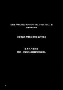 ANMITSU TOUHOU THE AFTER Vol.2 (decensored), 中文