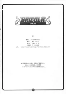 BRICOLA, 日本語