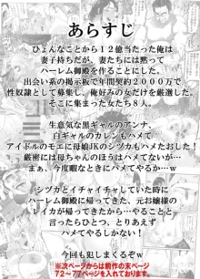 宝くじ12億当選！〜エロに全投資して、ハーレム御殿建設！！2, 日本語