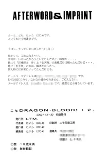 Nise Dragon Blood 12, English