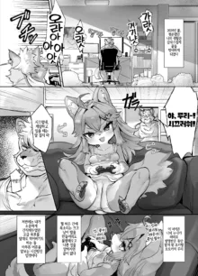 Kemo Loli Ookami Ruli-chan ga Pet ni Sareru Wake ga Nai!! - Kemo Loli Wolf! Ruli Pet!, 한국어