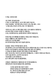 Mou Hanasanai Seito | 더는 놓지 않을 학생, 한국어