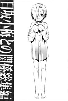 Shirasaka Koume to no Kankei Soushuuhen | 시라사카 코우메와의 관계 총집편, 한국어