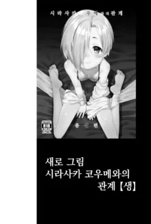 Shirasaka Koume to no Kankei Soushuuhen | 시라사카 코우메와의 관계 총집편, 한국어