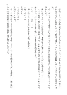 政府公認！超少子化対策！孕ませリゾートホテルでハーレム子作り, 日本語