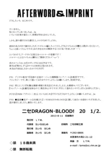 Nise DRAGON BLOOD! 20.5, 中文