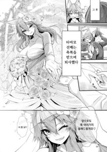 Senpai OL Tamamo-san - Senpai Office Worker Tamamo, 한국어