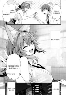 Senpai OL Tamamo-san - Senpai Office Worker Tamamo, 한국어